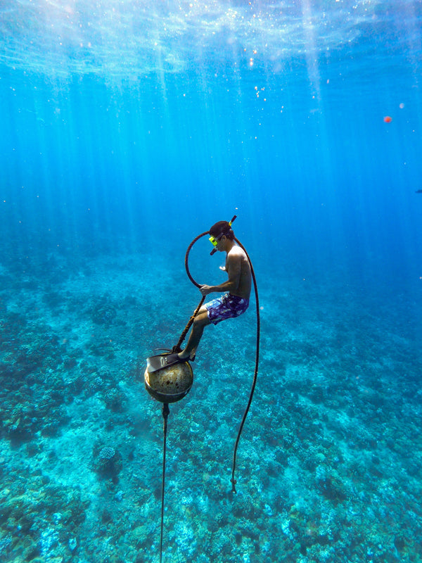 Snorkeling & diving