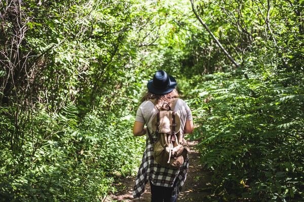 Hiking trails